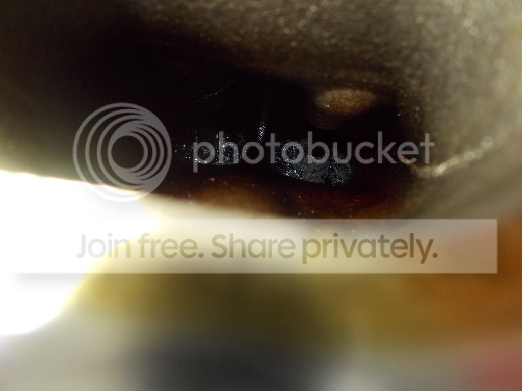 DSCN2202_zpsloxlyldw.jpg